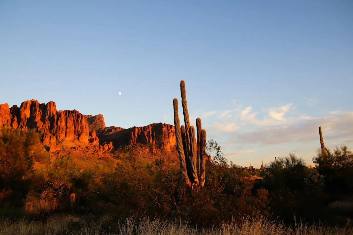 Saguaro cactus and desert mountains under a bright Arizona sky